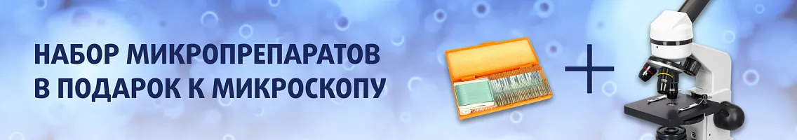 Набор микропрепаратов в подарок к микроскопу Levenhuk Rainbow 