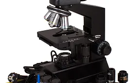 ДНК человека под микроскопом