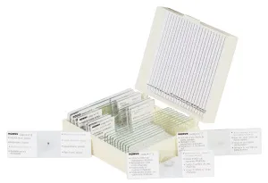 Набор микропрепаратов Konus 10: «Почва», изображение 2