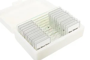 Набор микропрепаратов Bresser 10 шт., в кейсе, изображение 4