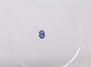 Набор микропрепаратов Konus 10: «Почва», изображение 8