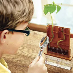 Набор для опытов ND Play «Умные растения» 6+, изображение 3