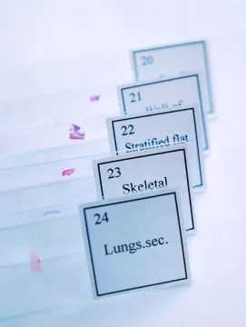 Набор для опытов с микроскопом Levenhuk K50, изображение 5