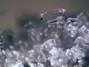 Микроскоп стереоскопический Bresser Erudit ICD 20x/40x, изображение 12