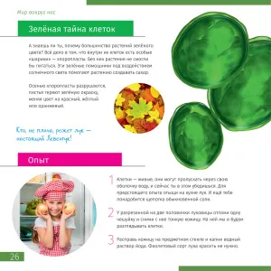 Микроскоп Levenhuk Discovery Micro с книгой, изображение 7