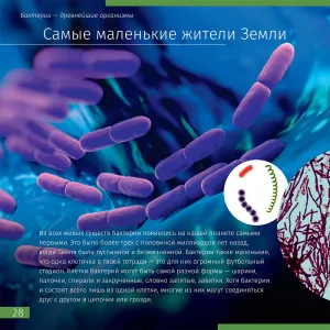 Книга знаний «Невидимый мир», изображение 5