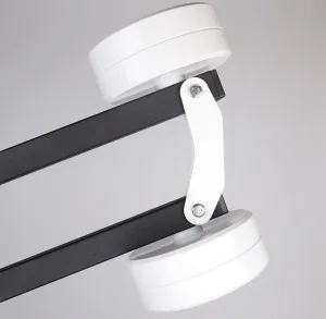 Противовес Asterion Parabino HD-CW для монтировки Parabino HD, изображение 3