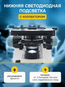 Микроскоп Levenhuk 400B, бинокулярный, изображение 17