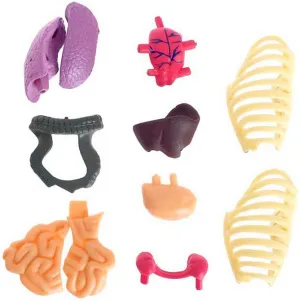 Исследовательский набор-конструктор ND Play «Строение тела» 6+, изображение 2