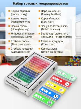 Микроскоп цифровой Levenhuk LabZZ DM200 LCD, изображение 22