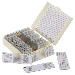 Набор микропрепаратов Konus 25: «Клетки и ткани животных», изображение 2