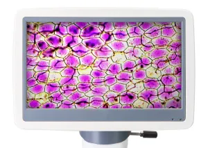 Микроскоп цифровой Levenhuk D85L LCD, изображение 6