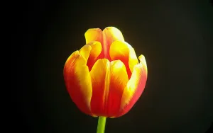 Фототелескоп Levenhuk Kelvin MAK90 AZ GOTO Wi-Fi, изображение 7