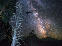 Однажды увидев россыпь миллионов звезд нашей галактики в телескоп, вы не сможете это забыть!